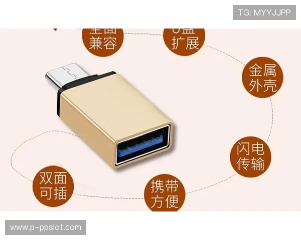 手柄游戏U盘插电视无法显示的原因及解决方法解析